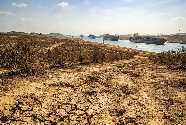 El Niño gefährdet Agrarrohstoffe und heizt Nahrungsmittelpreise an