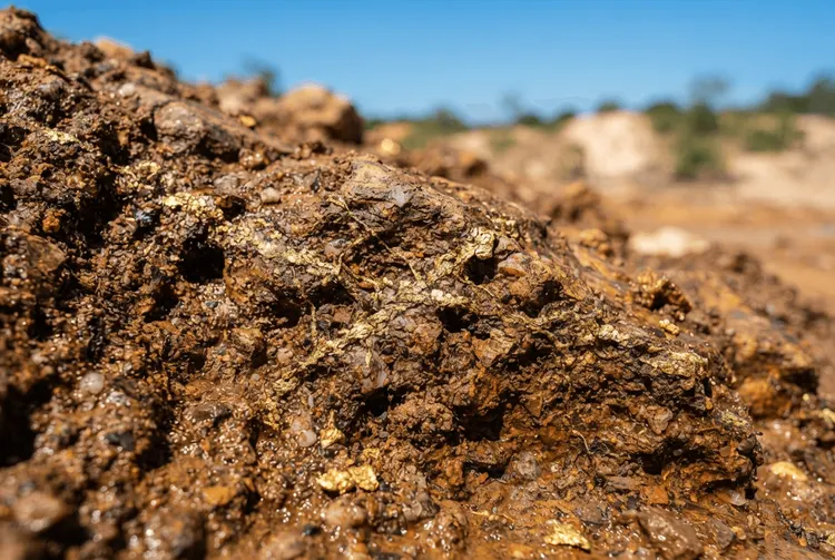 G Mining stößt auf oberflächennahes Goldvorkommen in Brasilien