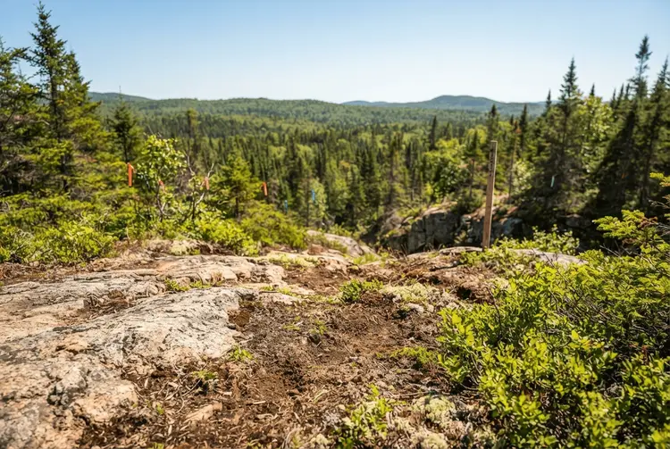 Quebec im Rohstofffokus: Northern Miner porträtiert vier Explorationsgesellschaften
