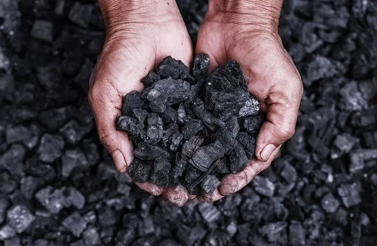 Australische Kohleproduzenten verbuchen trotz Chinas Embargo hohe Gewinne
