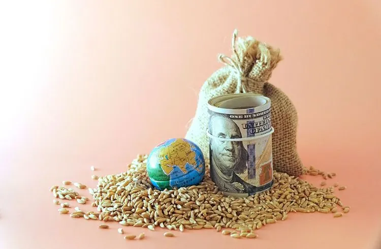 Wie schlimm wird die globale Nahrungsmittelkrise?