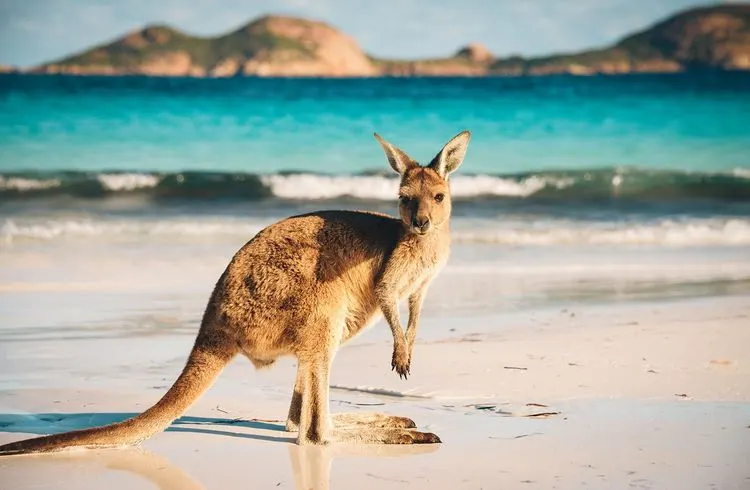 Rohstoffpreise in Australien fallen